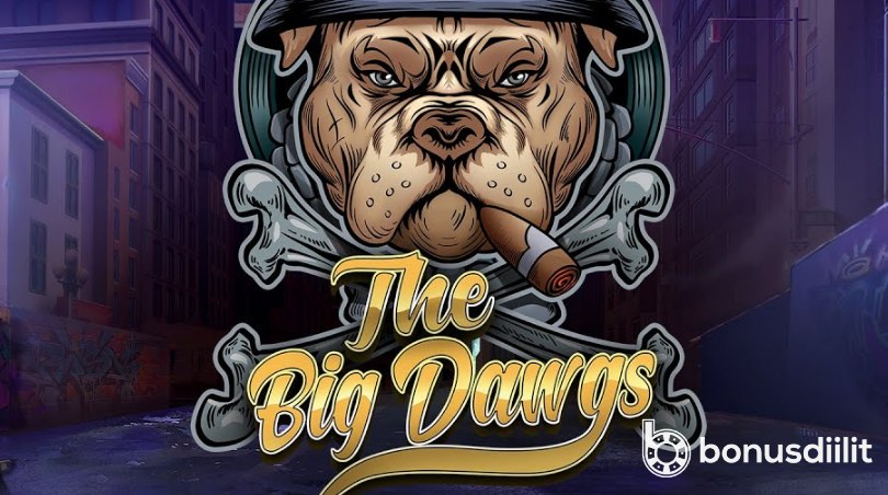 The big dawgs pragmatic play