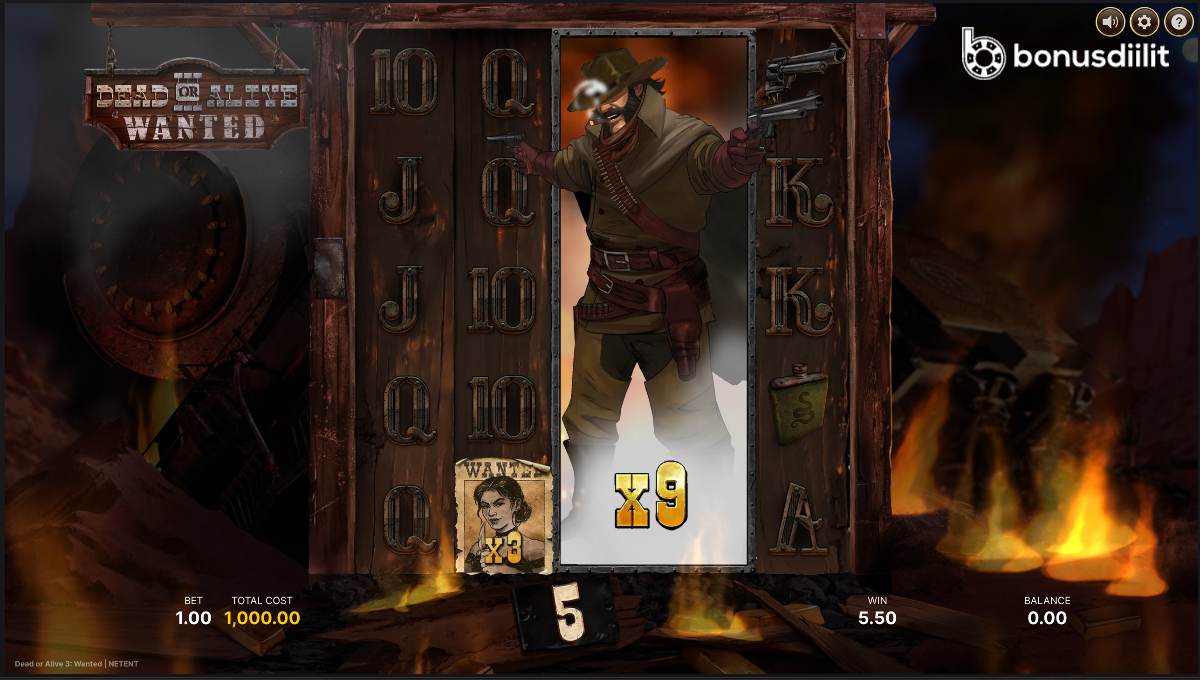 Dead Or Alive 3 Wanted netent