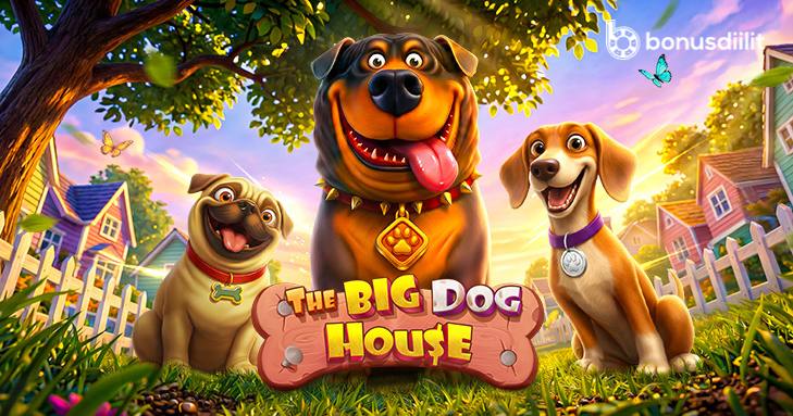 The Big Dog House
