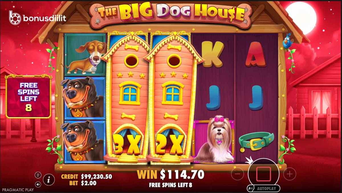 The Big Dog House